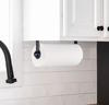 Spectrum Diversified Designs Black Wall-Mount Paper Towel Holder