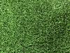 Spring Turf Green Ivy Indoor/Outdoor Turf 12 ft. Wide