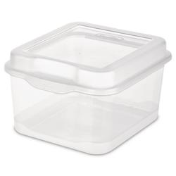 Bella 20-Gal. Tote with Locking Lid, 2 Pk. - Clear