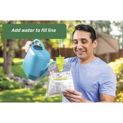 Raid® Window Fly Trap - 4 Pack at Menards®