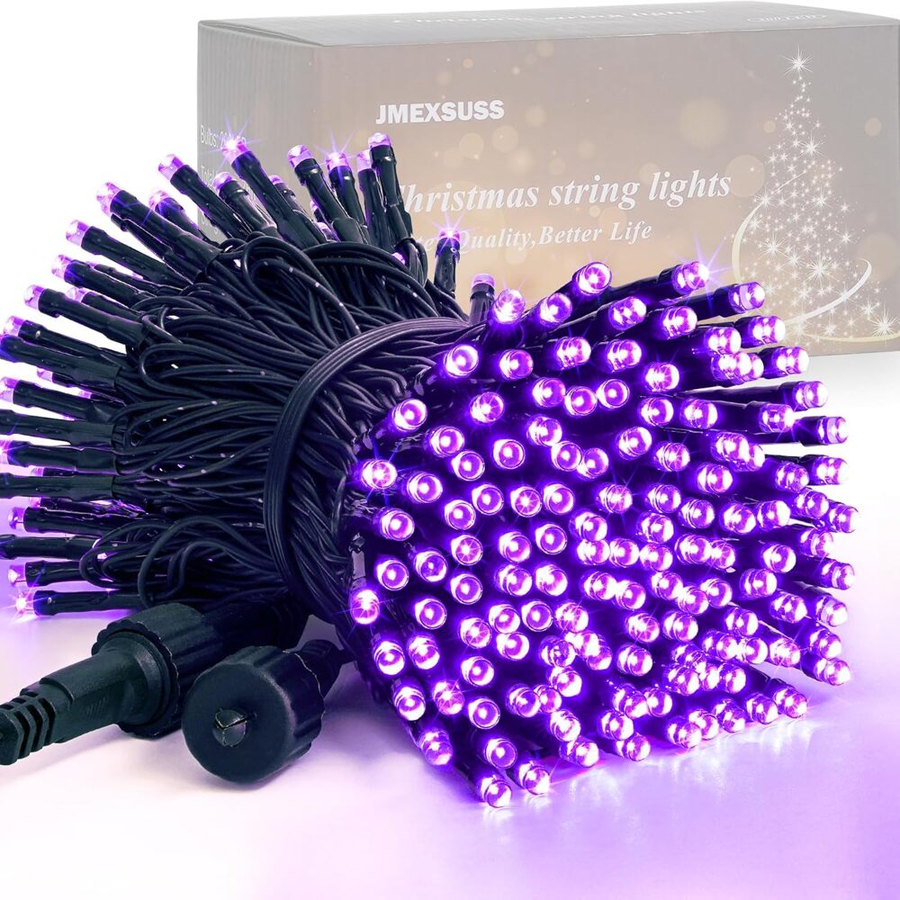 JET紫色 LEDライト 12個セット 200-Light Purple String Light Set at Menards®