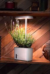 Interior Innovations Dual Pot Grow Planter With LED Light and Blue Trim  MGL-007-A - The Home Depot