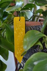 OwnGrown Yellow Sticky Traps for Gnats: 60x - Gnat Traps for House Indoor  Plants, Yellow Flowers - Kroger