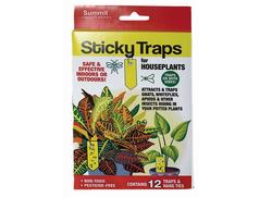 Classy Casita Sticky Traps- House Plant Sticky Stakes, Plant Bug Sticky  Traps In