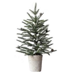 Enchanted Forest® 24" Flocked Tabletop Artificial Christmas Tree at