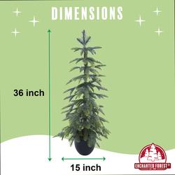 Enchanted Forest® 3' Unlit Alpine Artificial Christmas Porch Pot