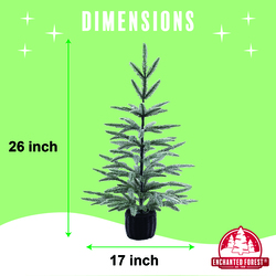 Enchanted Forest® 26