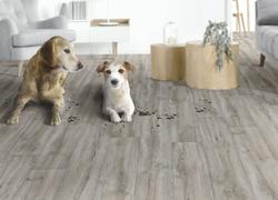 Tarkett® Vibe Rockford Oak Sheet Vinyl 12 ft. Wide at Menards®