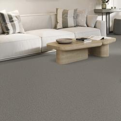 Tarkett® Hartsgrove Fog Plush Carpet 12 ft. Wide at Menards®
