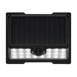 Patriot Lighting® Low Voltage LED Flood Landscape Light at Menards®