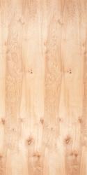 4X8-1 BIRCH V. CORE PLYWOOD B2 WPF / 9 PLY *C.A.R.B. 2 COMPLIANT