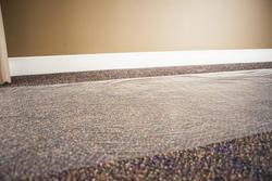 Carpet Shield® Carpet Protection Film