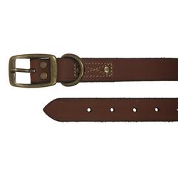 Master Paws® Cognac Leather Dog Collar - Large at Menards®