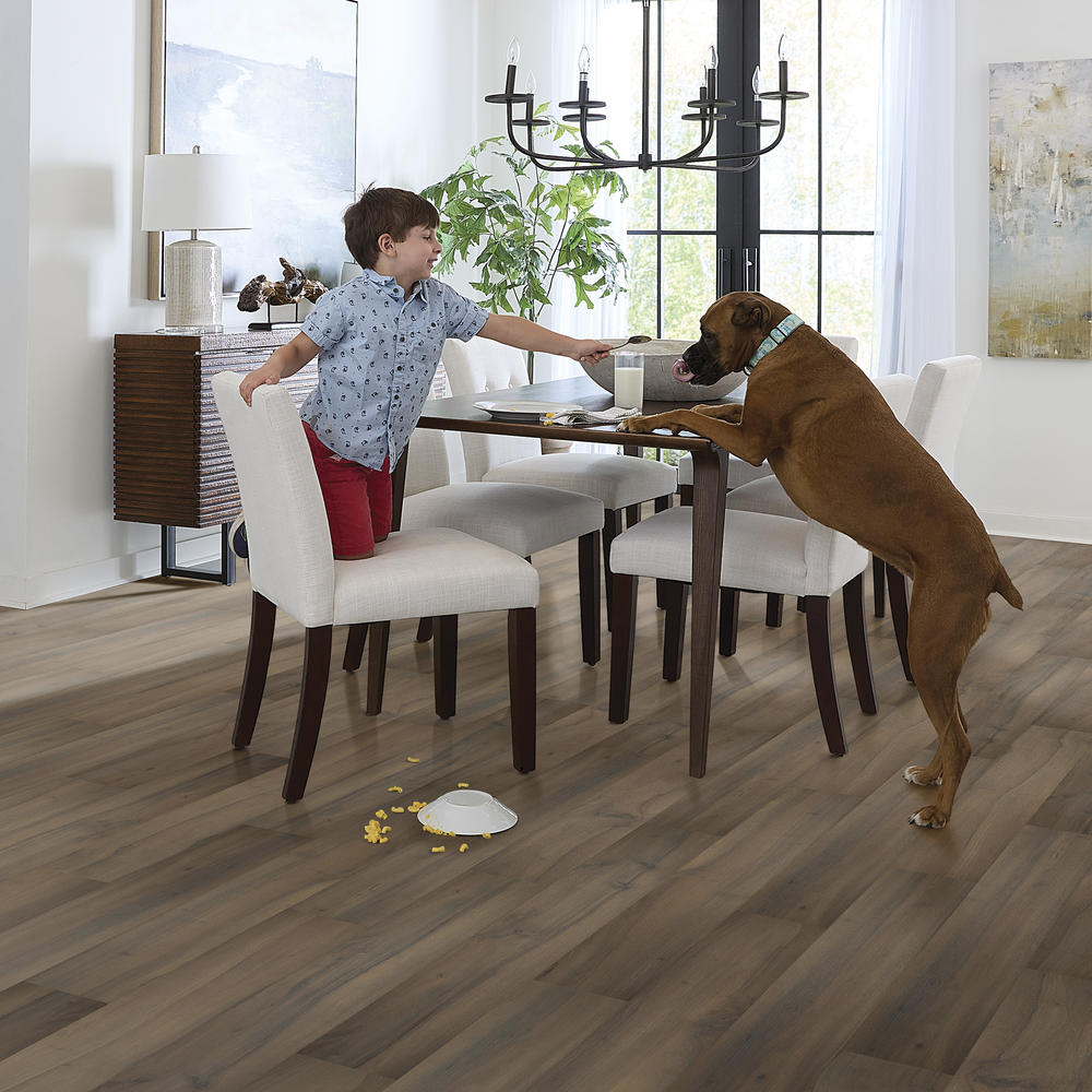 Mohawk® Clean Protect™ PerfectSeal Statements Falcon Walnut 6-1/8