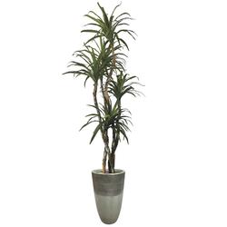 yuka¨̮⑅* VerDecor 6' Artificial Yucca Tree in Designer Pot at Menards®