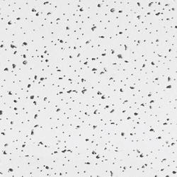 USG™ Radar™ ClimaPlus™ 2' x 4' White Square Edge Acoustical Drop Ceiling Tile, Case of 8 (64 sq. ft.)