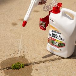 Spectracide® Weed & Grass Killer with AccuShot® Sprayer - 1.33 gal. at ...