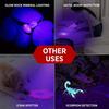 GearLight® UV Flashlight