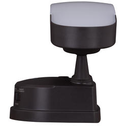 Patriot Lighting® Lambda Bronze 2-Light LED Outdoor Linkable Flood ...