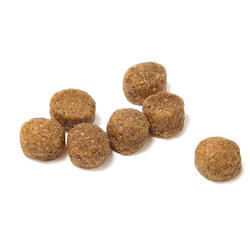 Victor dog outlet food kibble size