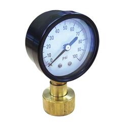 Watts 3/4 in. Plastic Water Pressure Test Gauge DP IWTG - The Home