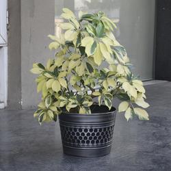 12" Hammered Pewter Finsh Metal Planter at Menards®
