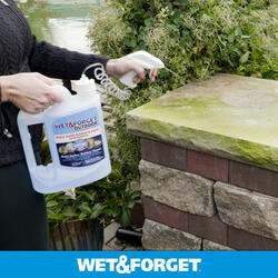 Wet and Forget 1-Gallon Multi-surface Concentrated Outdoor Cleaner in the  Outdoor Cleaners department at