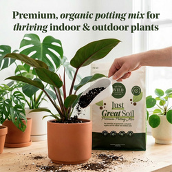 We The Wild Organic Gnat-Resistant Premium Indoor & Outdoor Houseplant  Potting Mix - 6 qt. at Menards