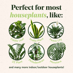 We The Wild Organic Gnat-Resistant Premium Indoor & Outdoor Houseplant  Potting Mix - 6 qt. at Menards