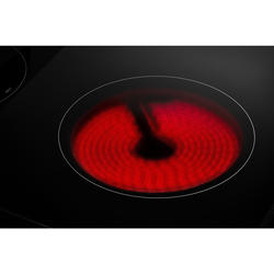 Amana® 30" 4.8 cu. ft. Monochromatic Stainless Steel Electric Range