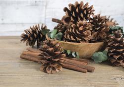 Bindle & Brass Cinnamon Scented Pinecone Bag (2-Pack) BB35-100415 - The  Home Depot