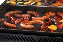 Napoleon® Rogue® 525 Propane Gas Grill at Menards®