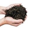 Black Wood Mulch -  2.0 Cu. Ft.