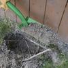 Masterforce® Fiberglass Long Handle Trenching Shovel