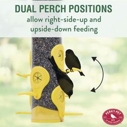 Perky-Pet® Yellow Finch Bird Feeder at Menards®