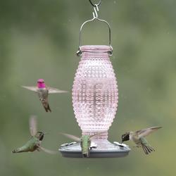 Perky-Pet® Cranberry Hobnail Vintage Hummingbird Feeder - 16 oz at Menards®