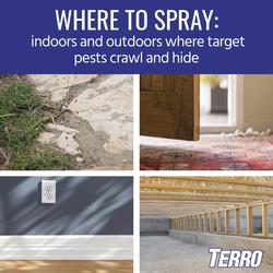 TERRO Spider Killer Aerosol Spray