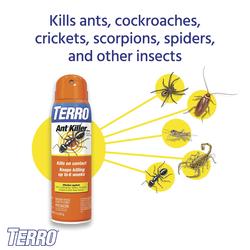 Terro® Aerosol Ant Killer - 16 oz. at Menards®