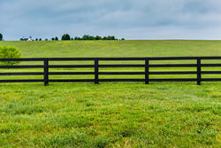 Barn & Fence Exterior Latex Paint by Dikon at Fleet Farm