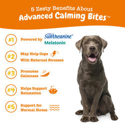 Zesty paws outlet calming bites canada