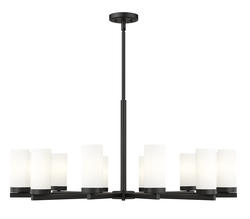 Z-Lite Danica Matte Black 12-Light Chandelier at Menards®