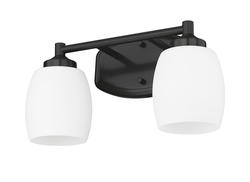 Z-Lite Kendrick Matte Black 2-Light Vanity Light at Menards®