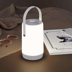 ZONE Color Changing RGB Accent Lamp at Menards®