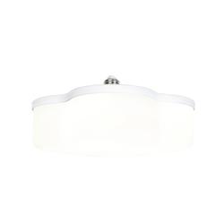 ZONE® E26 Daylight LED Light Bulb at Menards®