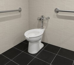 Zurn® One White Tall Elongated Toilet with Sensor Flush Valve at