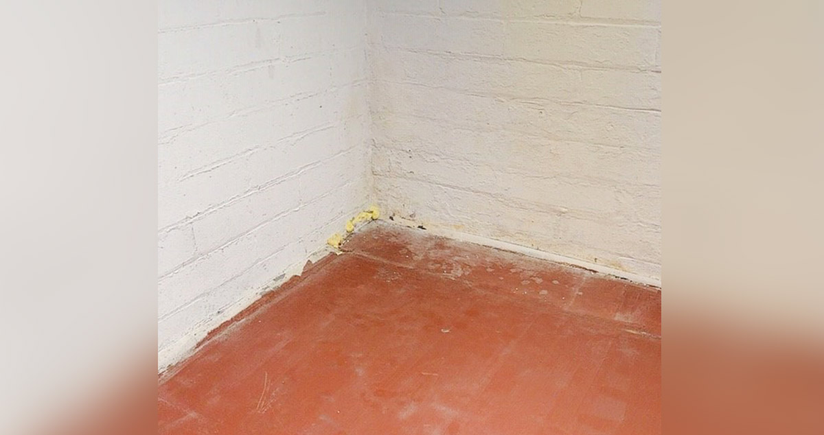 New Work Bench Project by Joel at Menards®