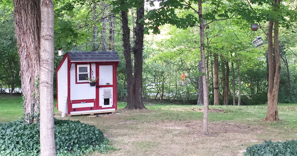 12 x 16 Chicken Coop Project by Scott at Menards®