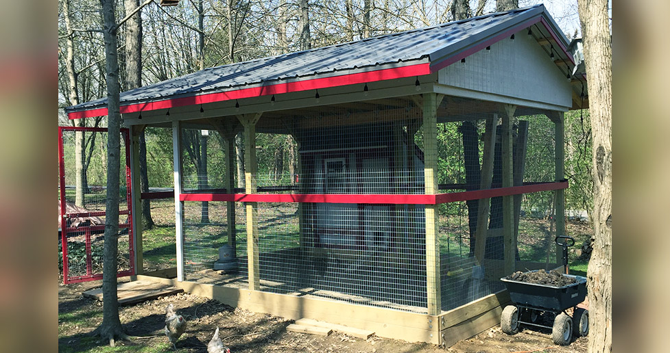 12 x 16 Chicken Coop Project by Scott at Menards®