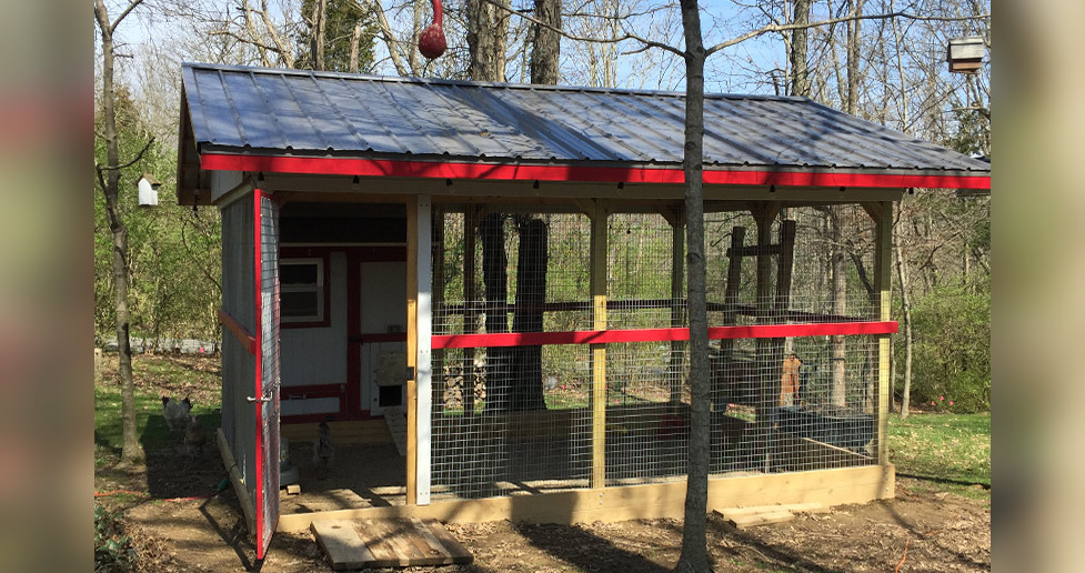 12 x 16 Chicken Coop Project by Scott at Menards®