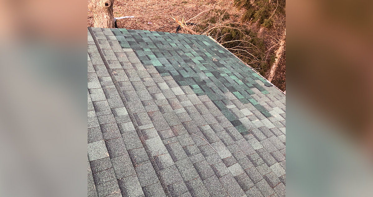 Roof Fix Project by Reece at Menards®